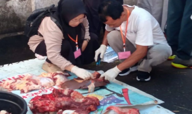 Dinas Pertanian (Distan) Kota Mataram menemukan enam penyakit saat pemotongan hewan Idul Adha 1446 H/2025. (Foto : Distan Mataram)
