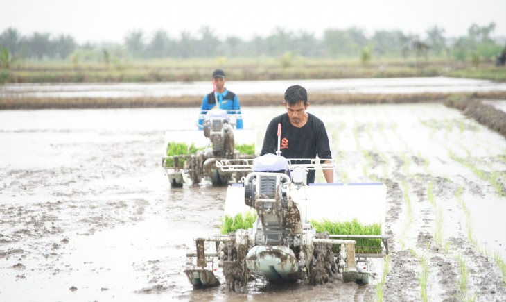 Swasembada Pangan Tercapai, Penerimaan Bea Masuk Sektor Pangan Anjlok. (Foto: dok. Kementan)