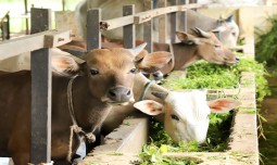 world-news