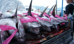 world-news
